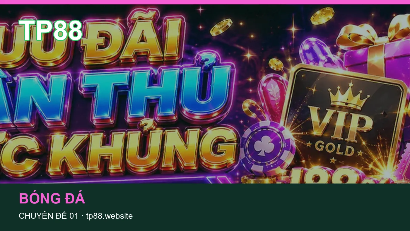 Hỏi đáp về Casino: quy trình tự kiểm tra trên TP88