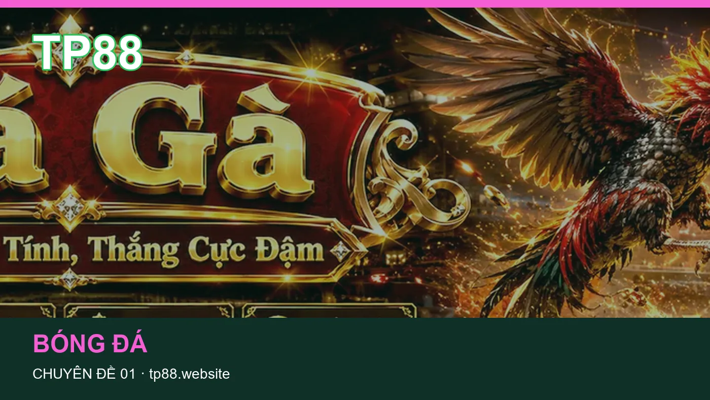 Đối chiếu nguồn và thời điểm cập nhật trong Game bài của TP88