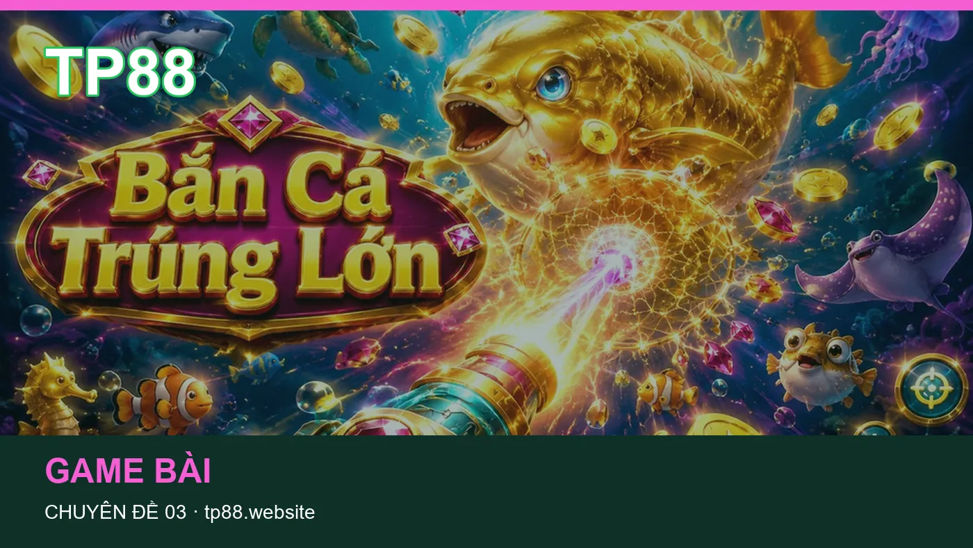 Những nhầm lẫn thường gặp khi đọc nội dung Ứng dụng trên TP88